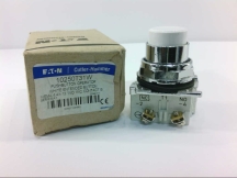 EATON CORPORATION 10250T31W