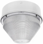 RAB LIGHTING VANGH175QTW