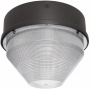 RAB LIGHTING VANGH175480