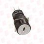 RADWELL VERIFIED SUBSTITUTE JZRCR-YPP01-1-SUB-KEY-SWITCH