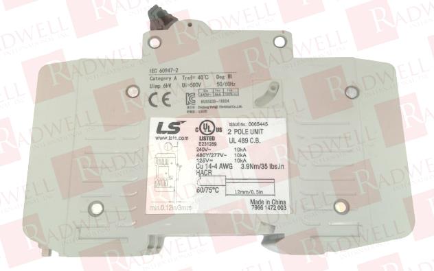 LS ELECTRIC BK63HU-2P-10A-240V